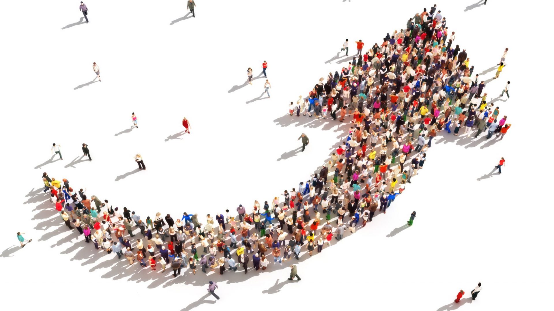 actualités belles croissances