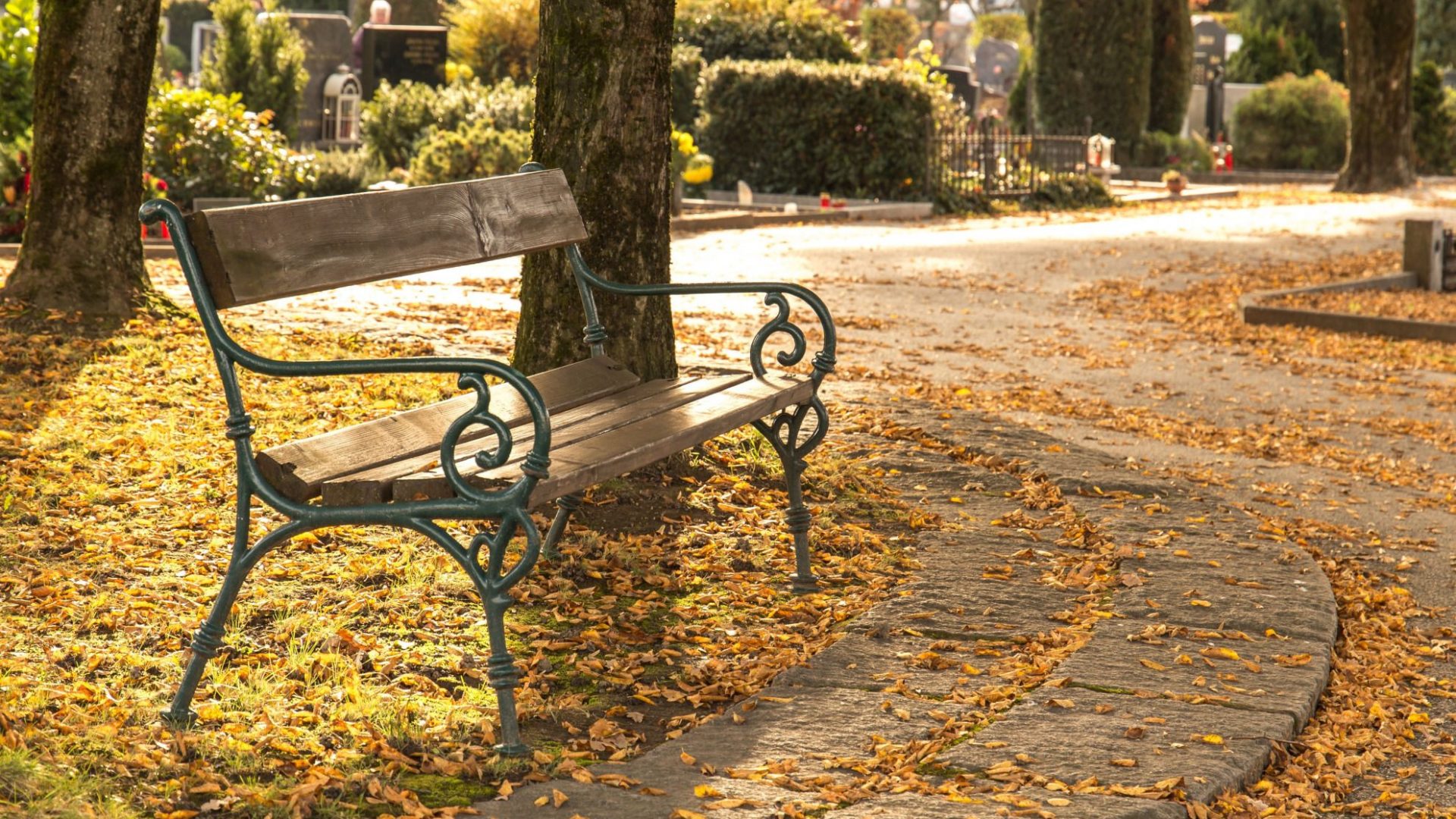 banc automne