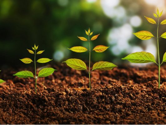 Les dessous de la croissance continue de FUNECAP GROUPE