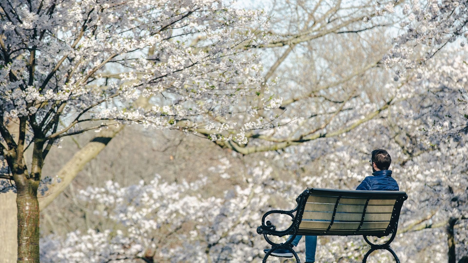 Photo d'un homme sur un banc