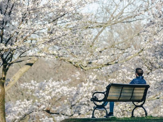 Photo d'un homme sur un banc