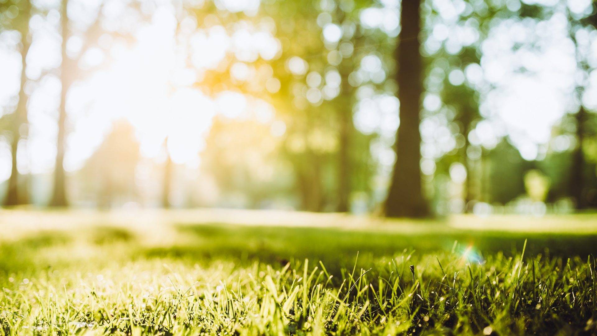 FUNECAP-GROUPE-Crematorium-du-Cantomerle-©Warchi