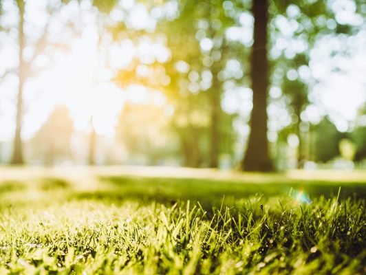 FUNECAP-GROUPE-Crematorium-du-Cantomerle-©Warchi