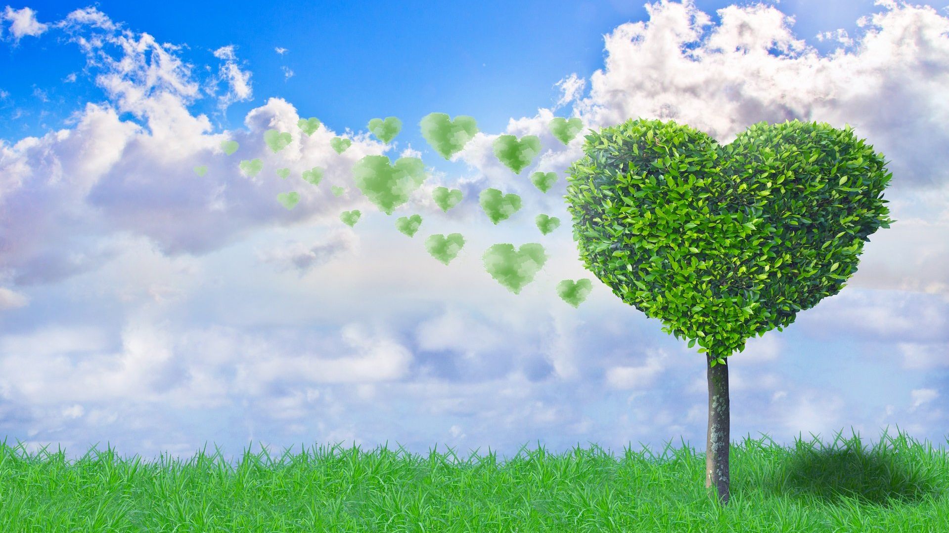 Crematoriums-de-France-Journee-du-Souvenir-©fotopoly