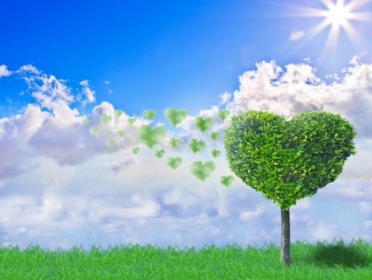 Crematoriums-de-France-Journee-du-Souvenir-©fotopoly