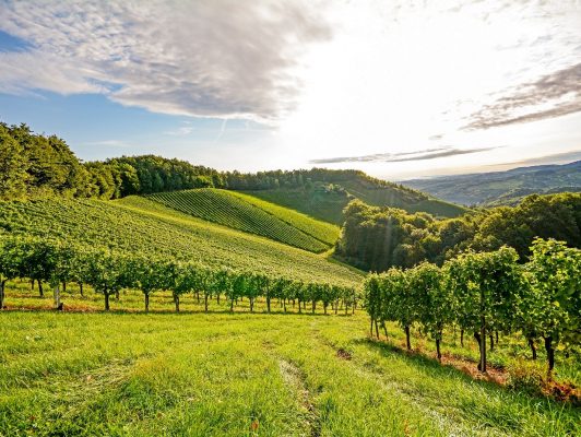 Crematorium-de-Saint-Avold-©ah-fotobox