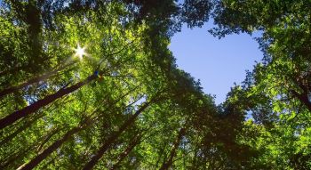 Hommage-personnalise-Crédits JM_Image_Factory