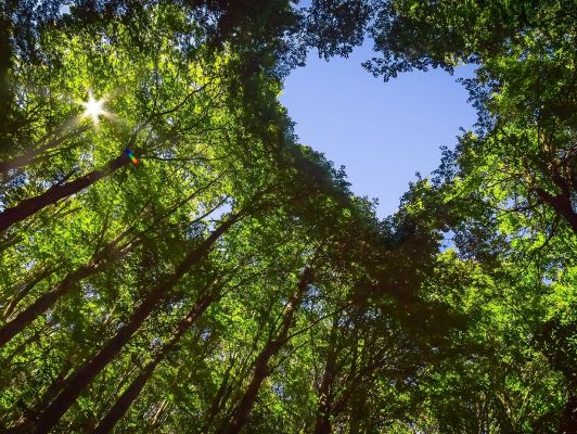 Hommage-personnalise-Crédits JM_Image_Factory